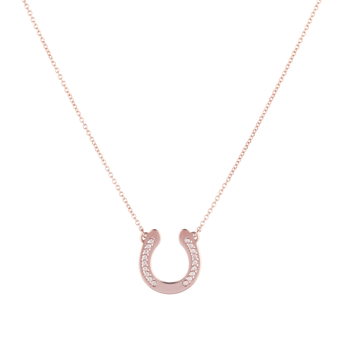 Diamond Big Horseshoe - Rose Gold Necklace